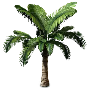 Exotic Jungle Trees PNG Ror39 PNG