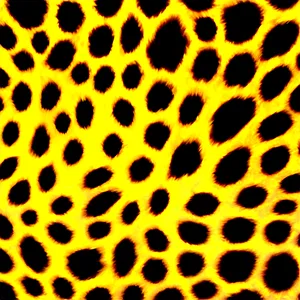 Exotic Leopard Pattern PNG 30 PNG
