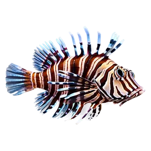 Exotic Lionfish Png 58 PNG image