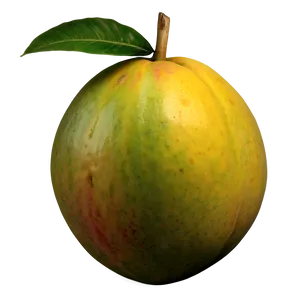 Exotic Mango PNG Nmn