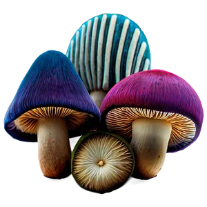 Exotic Mushrooms Png Rnq PNG image