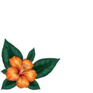 Exotic Orange Floral Png Pxl PNG image