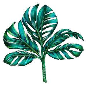 Exotic Palm Leaves PNG 05252024