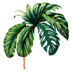 Exotic Palm Leaves PNG 22