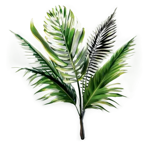 Exotic Palm Leaves PNG 28