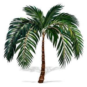 Exotic Palm Leaves PNG Huo