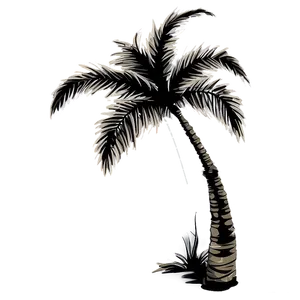 Exotic Palm Tree Silhouette Png 4 PNG image