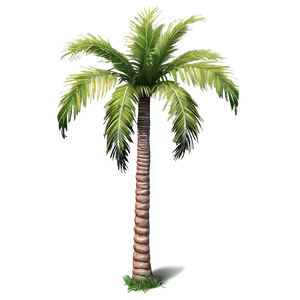 Exotic Palm Trees Png Mdp5 PNG image