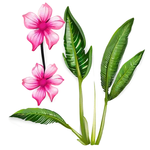 Exotic Pink Flower Illustration PNG Krb34