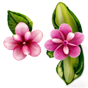 Exotic Pink Flowers PNG 05242024 PNG