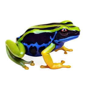 Exotic Poison Dart Frog Png 06132024 PNG image