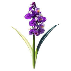 Exotic Purple Bloom PNG 05242024 PNG