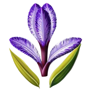 Exotic Purple Bloom PNG 23 PNG
