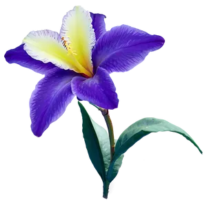 Exotic Purple Bloom PNG Yel PNG