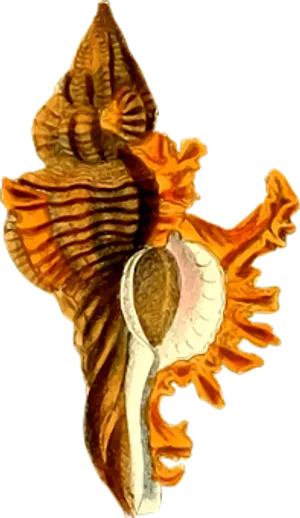 Exotic Sea Slug Orange Patterns