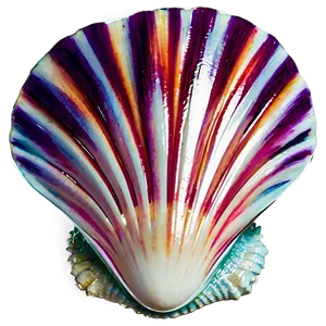 Exotic Shell From Distant Shore Png 35 PNG image