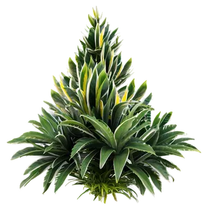 Exotic Shrub PNG 05252024 PNG