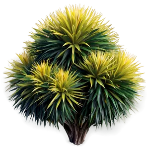 Exotic Shrub PNG Hwh11 PNG