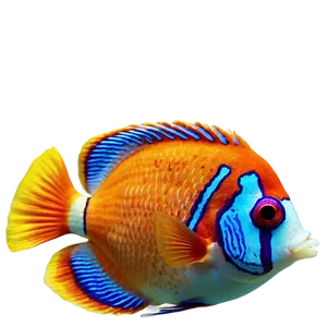 Exotic Tropical Fish PNG 56