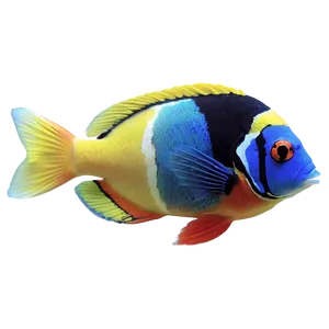 Exotic Tropical Fish PNG Rwc PNG