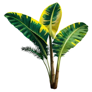 Exotic Tropical Plant Png Chh35 PNG image