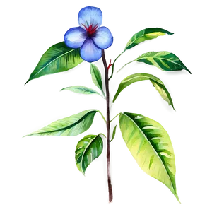 Exotic Watercolor Flowers PNG 05252024