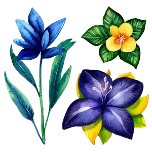 Exotic Watercolor Flowers PNG Ewd