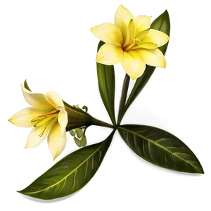 Exotic Yellow Flowers Png Mek67 PNG image