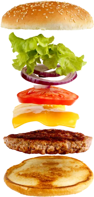 Exploded View Classic Hamburger PNG image