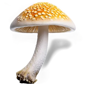 Exquisite Fungi Png 06132024 PNG image