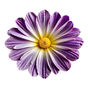 Exquisite Petal PNG Slp PNG