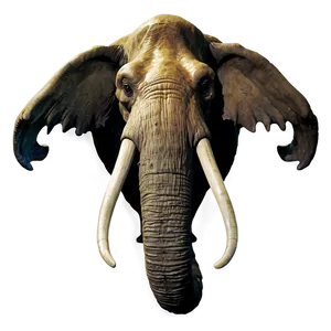 Extinct Mammoth Specimen Png 18 PNG image