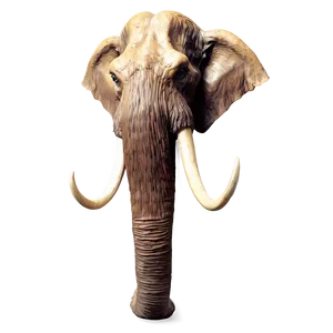 Extinct Mammoth Specimen Png Jcb29 PNG image