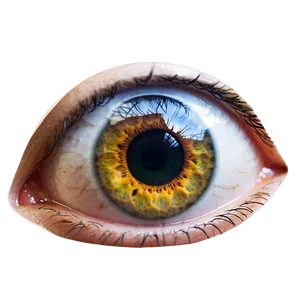 Eye Art Transparent PNG Ynt20 PNG