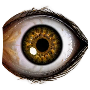 Eye B PNG