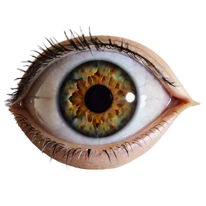 Eye C PNG