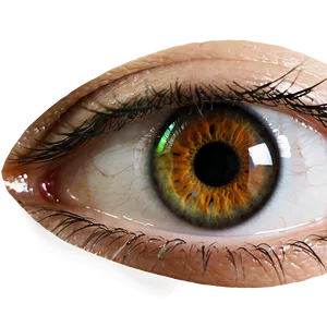 Eye Contact Lens Transparent PNG Kkd53 PNG