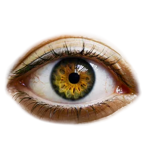 Eye D PNG