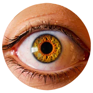 Eye Detail Transparent PNG Rmn80 PNG