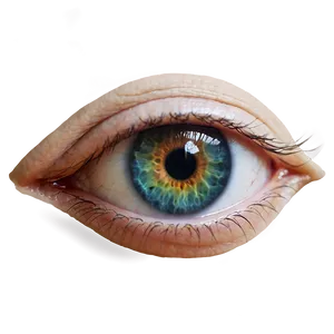 Eye Fantasy Transparent PNG 05262024