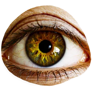 Eye Graphic Transparent Png 05262024 PNG image