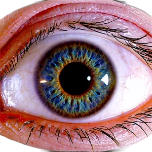 Eye Health Infographic PNG Llg