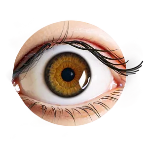 Eye Lash Extension PNG Fet