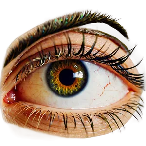 Eye Lash Extension PNG Vji92