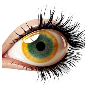 Eye Lashes Transparent Png 05262024 PNG image