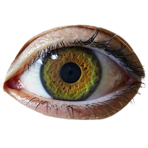 Eye Look Transparent PNG 05262024