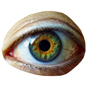 Eye Pupil Transparent Png Dqj PNG image