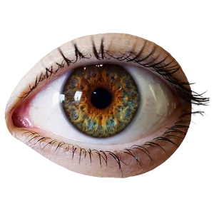 Eye Reflection Photo PNG 13