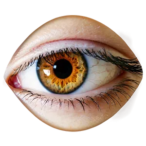 Eye Reflection Transparent Png Arp82 PNG image