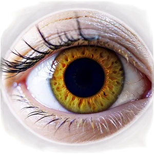 Eye See Through Transparent PNG 53 PNG